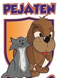 PEJATEN SHELTER
